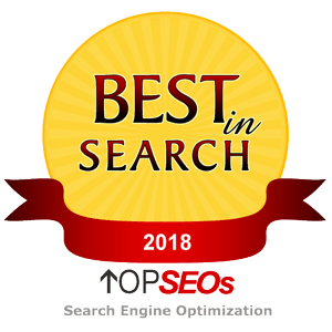 Top SEOs - 2018 Best in Search